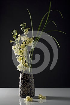 Fresh Flowers in Black Vase