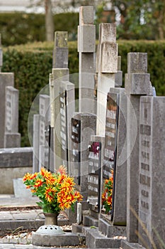 Fresh flowers on a grave