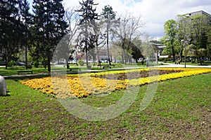 Fresh flowers and greenery in the Central city park, Leskovac, southern Serbia
