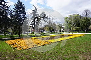 Fresh flowers and greenery in the Central city park, Leskovac, southern Serbia