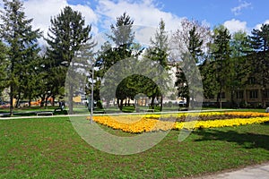 Fresh flowers and greenery in the Central city park, Leskovac, southern Serbia