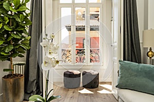 Fresh flowers in a living room with a bay window with white windows and decorative plants