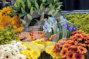 Fresh flowers at a market