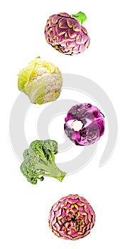 Fresh flying vegetables ingredients isolated on a white background.