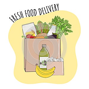 Fresh food delivery concept. Vegetables and fruits in paper bag. Organic market and healthy food. Hand drawn vector illustration