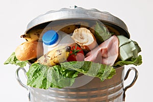 Fresh Food In Garbage Can To Illustrate Waste