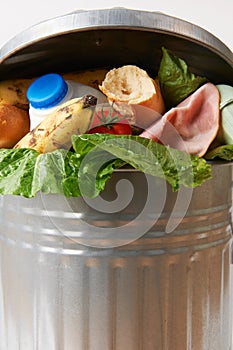 Fresh Food In Garbage Can To Illustrate Waste