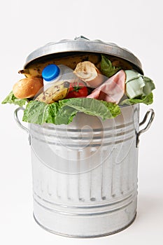 Fresh Food In Garbage Can To Illustrate Waste photo