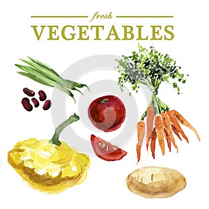 Fresh food illustration.