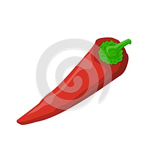 Fresh food ingredient vegetable red pepper cartoon vector isolated illustration