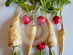 Fresh food parsley root with green leaves and red radish isolated