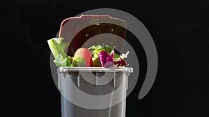 Fresh food in perfect condition in the garbage can to illustrate the waste that is thrown away daily without the need. waste of or