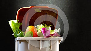 Fresh food in perfect condition in the garbage can to illustrate the waste that is thrown away daily without the need. waste of or