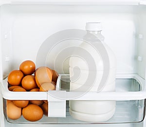 Fresh Food on Refrigerator Door Shelf