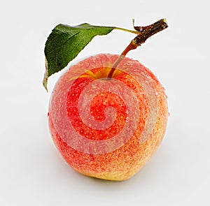 Honey crisp apple isolated on white background