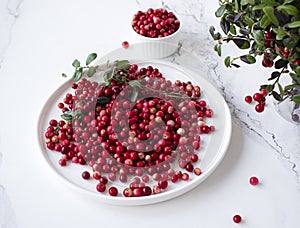 fresh forest lingonberries