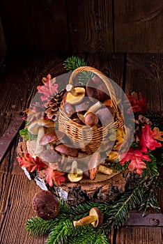 Forest mushroom collections