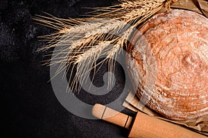 Fresh fragrant bread with grains and cones of wheat against a dark background