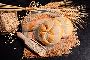 Fresh fragrant bread with grains and cones of wheat against a dark background