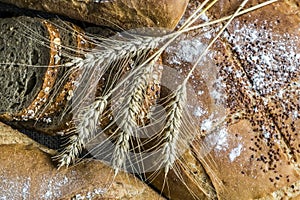 Fresh fragrant bread on the table. Food concept