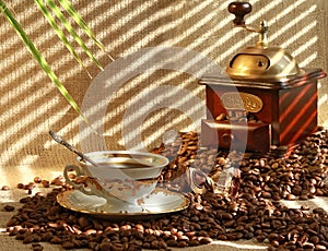 Fresh fragrant coffee