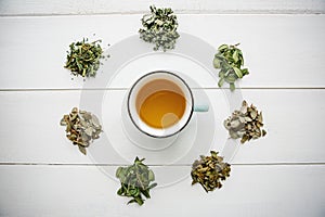 Fresh fragrant and healthy herbal tea in a glass or mug on a white wooden surface. Next to it lie various dried herbs