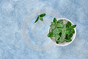 Fresh and fragrant mint leaves in a white cup on a blue background