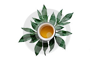 Fresh fragrant and useful herbal or green tea in a mug with plant leaves isolated on white background