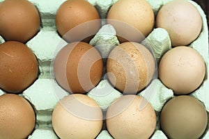 Fresh free-range chicken eggs