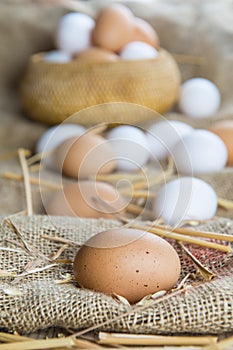 Fresh free range eggs