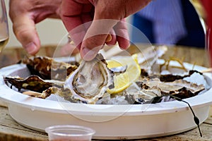 Fresh french Gillardeau oysters molluscs shucked on ice with lemon ready to eat close up