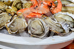 Fresh french Gillardeau oysters molluscs shucked on ice with shells, shrimps, lemon ready to eat close up