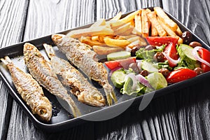 Fresh fried boops boops fish with summer vegetable salad and french fries close-up on a plate. horizontal photo