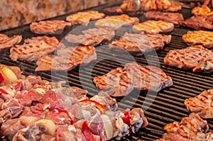 Fresh fried meat and bacon