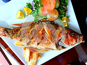 Fresh fried red snapper