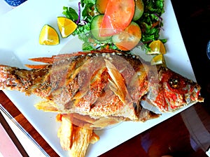 Fresh fried red snapper photo