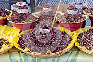 Fresh fried and salted grasshoppers from Oaxaca (translation: chapulines) displayed on a table