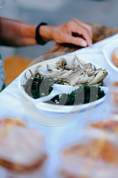 Fresh and fried sardine fish in a plate with green vegetable salad