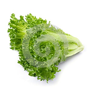 Fresh Frillice Iceberg Lettuce isolated on a transparent background