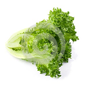 Fresh Frillice Iceberg Lettuce isolated on a transparent background