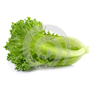 Fresh Frillice Iceberg Lettuce isolated on a transparent background