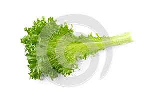 Fresh Frillice Iceberg Lettuce isolated on a transparent background