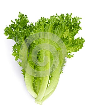 Fresh Frillice Iceberg Lettuce isolated on a white background