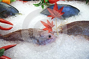 Fresh frozen fish