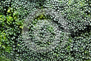 Fresh frozen green broccoli with hoarfrost closeup as background.