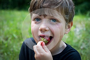 Fresh fruit