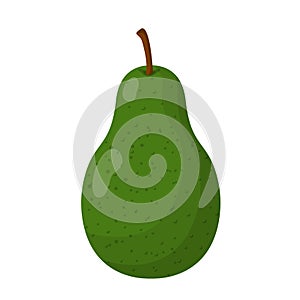 Fresh fruit avocado cartoon vector isolated illustration