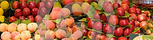 Fresh fruit - background banner image