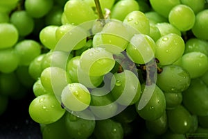 Fresh Fruit Brunch Green Grapes on Shelf in Fresh Fruit market Thailand Travel Background Concept. Generated AI