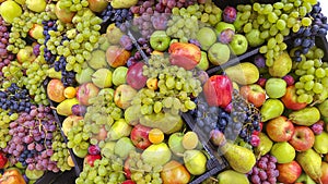 Fresh fruit bulk